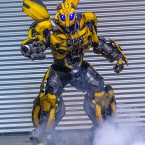 Bumble Bee Perth